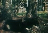 Сцена из фильма Тропой бескорыстной любви  (1972) 
