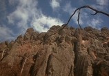 Сцена из фильма Пикник у Висячей скалы / Picnic at Hanging Rock (1975) Пикник у Висячей скалы сцена 10