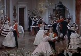Сцена из фильма Неукротимый / Untamed (1955) Неукротимый сцена 2