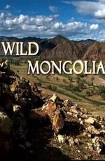 Дикая Монголия