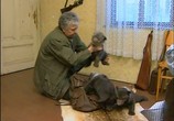 ТВ Истории о зверятах: Медвежата. Детство / Medove (2001) - cцена 2