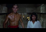 Фильм 18 бронзовых бойцов Шаолиня / Shao Lin Si shi ba tong ren (1976) - cцена 5