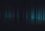 Сцена из фильма Тёмный лес / Villmark (2003) Тёмный лес сцена 2
