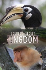 Секретное королевство Борнео: странные и дикие