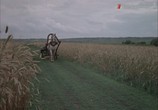 Сцена из фильма Полюшко-поле (1956) Полюшко-поле сцена 2