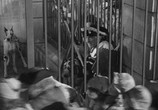 Сцена из фильма Повесть о двух городах / A Tale of Two Cities (1935) Повесть о двух городах сцена 5