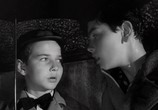 Сцена из фильма Друзья по жизни / Amici per la pelle (1955) Друзья по жизни сцена 6