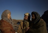 Сцена из фильма Королева пустыни / Queen of the Desert (2015) 