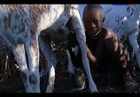 Сцена из фильма Жизнь по законам саванны. Намибия / The last hunters in Namibia (2013) Жизнь по законам саванны. Намибия сцена 7