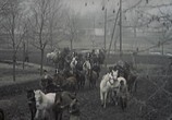 Сцена из фильма Скупщики перьев / Skupljaci perja (1967) Скупщики перьев сцена 11