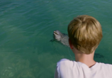 Сцена из фильма Мой друг дельфин Эхо / Dolphin Kick (2019) 
