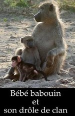 Маленький бабуин и его семья