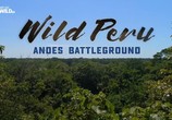 ТВ Дикая природа Перу: арена боев - Анды / Wild Peru: Andes Battleground (2018) - cцена 7