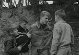 Фильм Пуговичная война / La Guerre Des Boutons (1962) - cцена 7