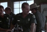 Сцена из фильма Граница / The Border (1982) Граница сцена 4