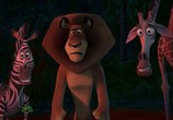 Мультфильм Рождественский Мадагаскар / Merry Madagascar (2009) - cцена 4
