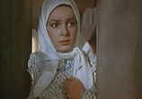 Фильм Тихий Дон (1957) - cцена 2