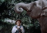 Сцена из фильма Мальчик, который украл слона / The Boy Who Stole the Elephant (1970) Мальчик, который украл слона сцена 13