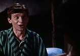 Сцена из фильма Старики на уборке хмеля / Starci na chmelu (1966) 
