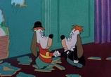 Сцена из фильма Друпи - коллекция / Tex Avery's Droopy: Collection (1946) Друпи - коллекция сцена 3