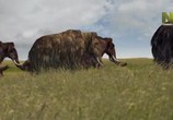 Сцена из фильма Мамонты - гиганты ледникового периода / Mammoths. Giants of the Ace (2014) Мамонты - гиганты ледникового периода сцена 5
