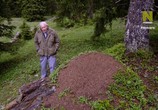 Сцена из фильма Муравьиная гора с Дэвидом Аттенборо / David Attenborough's Ant Mountain (2017) Муравьиная гора с Дэвидом Аттенборо сцена 8