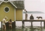 Сцена из фильма Собачьи дни / Rötmånad (1970) Собачьи дни сцена 9
