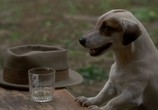 Фильм Магия / Rough Magic (1995) - cцена 7 Фильм Магия / Rough Magic (1995) - cцена 7