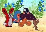 Мультфильм Приключения Крота / Krtek (1957) - cцена 2