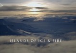 Сцена из фильма Nat Geo Wild: Дикая Арктика / Wild Arctic (2018) Nat Geo Wild: Дикая Арктика сцена 6