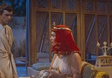 Сцена из фильма Египтянин / The Egyptian (1954) Египтянин сцена 2