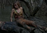 Сцена из фильма Хищные воды / Black Water (2007) Хищные воды сцена 4
