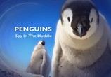 Сцена из фильма Пингвин — Шпион под прикрытием / Penguins — Spy In The Huddle (2013) 