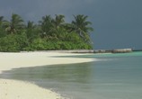 Сцена из фильма Мальдивы: Впечатления. Великолепные острова / Malediven: HD Impressionen Traumhafter Inseln (2011) Мальдивы: Впечатления. Великолепные острова сцена 14