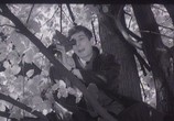 Сцена из фильма Драже с перцем / Dragées au poivre (1963) Драже с перцем сцена 8