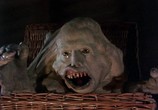 Сцена из фильма Существо в корзине / Basket Case (1982) Существо в корзине сцена 4