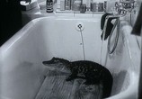 Сцена из фильма Катя и крокодил / Káta a krokodýl (1966) Катя и крокодил сцена 2