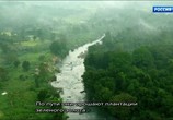 Сцена из фильма Дикая Шри Ланка / Wild Sri Lanka (2015) Дикая Шри Ланка сцена 8