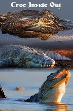 National Geographic: Секреты крокодила