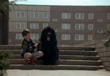 Сцена из фильма Мальчик с большой чёрной собакой / Der Junge mit dem großen schwarzen Hund (1986) Мальчик с большой чёрной собакой сцена 3