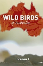 Дикие птицы Австралии