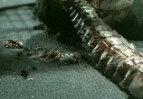 Фильм Чужое вмешательство / Alien Abduction (2005) - cцена 1