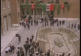 Сцена из фильма Необычный день / Una giornata particolare (1977) Необычный день сцена 3