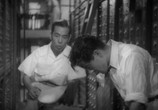 Сцена из фильма Бездомный Пёс / Nora Inu (1949) Бездомный Пёс сцена 1