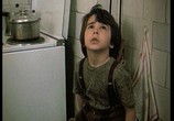 Сцена из фильма Собака в ящике / Kuche v chekmedzhe (1982) Собака в ящике сцена 1