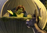 Мультфильм Шрэк - Медовый месяц / Shrek - Honeymoon (2008) - cцена 2