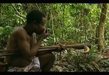 Сцена из фильма Жизнь по законам джунглей. Камерун / The Last Hunters in Cameroon (2013) Жизнь по законам джунглей. Камерун сцена 2