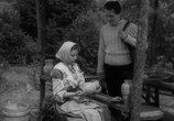 Сцена из фильма Долина синих скал (1956) Долина синих скал сцена 2
