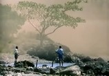Сцена из фильма BBC: Наедине с природой: Комариное озеро / LAKE of the FLIES (2004) BBC: Наедине с природой: Комариное озеро сцена 12