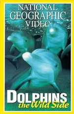 Dolphins: The Wild Side